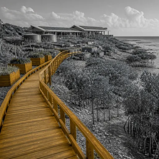 The Caribbean hotels growing more than they take: what regenerative travel looks like on the ground